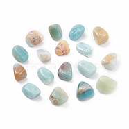 Natural Flower Amazonite Beads, Tumbled Stone, Vase Filler Gems, No Hole/Undrilled, Nuggets, 20~35x13~23x8~22mm(G-K302-A07)
