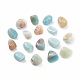 Natural Flower Amazonite Beads(G-K302-A07)-1