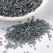 MIYUKI Delica Beads, Cylinder, Japanese Seed Beads, 11/0, (DB0048) Silver-Lined Grey, 1.3x1.6mm, Hole: 0.8mm, about 2000pcs/bottle, 10g/bottle(SEED-JP0008-DB0048)