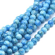 Natural Apatite Beads Strands, Round, 6mm, Hole: 0.7mm, about 62pcs/strand, 15.75 inch(40cm)(G-F674-04-6mm)