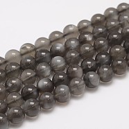 Natural Black Moonstone Beads Strands,  Round, Black, 8mm, Hole: 1mm, about 49pcs/strand(G-F306-06-8mm)