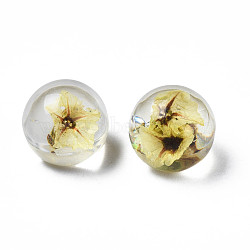 Translucent Acrylic Cabochons, with Dried Flower, Round, Yellow, 10x9mm(TACR-N006-13C)