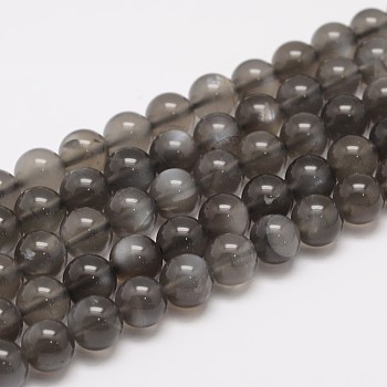 Natural Black Moonstone Beads Strands,  Round, Black, 8mm, Hole: 1mm, about 49pcs/strand