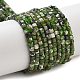 Natural Diopside Beads Strands(G-G161-C23-01)-1