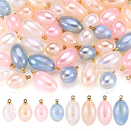 Pandahall 48Pcs 8 Styles Imitation Gemstone Acrylic Pendants, with Golden Tone Iron Findings, Oval, Mixed Color, 17.5~23x11~11.5mm, Hole: 1.5mm, 6pcs/style(IFIN-TA0001-57)