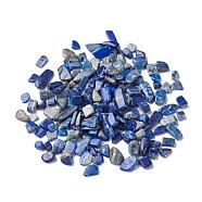 Natural Lapis Lazuli Beads, No Hole/Undrilled, Nuggets, Tumbled Stone, Vase Filler Gems, 9~20x5~7x2~6mm, about 1428pcs/1000g(G-F710-09)