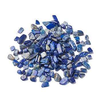 Natural Lapis Lazuli Beads, No Hole/Undrilled, Nuggets, Tumbled Stone, Vase Filler Gems, 9~20x5~7x2~6mm, about 1428pcs/1000g