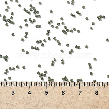 perles rocailles miyuki rondes(SEED-X0056-RR2318)-4