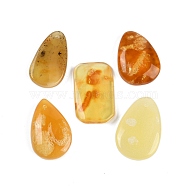 Natural Amber Pendants, Nuggets Charms, 23~26x14.5~17x3~7mm, Hole: 1mm(G-H063-01)