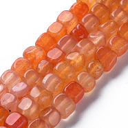 Natural Agate Beads Strands, Dyed & Heated, Cube, Coral, 5~8x4~8x4~6mm, Hole: 1.2mm, about 50pcs/strand, 14.76 inch(37.5cm)(G-N326-99E)