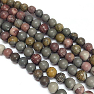 Natural Dendritic Jasper Beads Strands, Chohua Jasper, Round, Mixed Color, 6mm, Hole: 1mm, about 64pcs/strand, 15.1 inch(X-G-H1632-6MM)