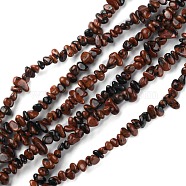 Natural Mahogany Obsidian Beads Strands, Chip, 1.5~4.5x3~13x2.5~8mm, Hole: 0.6mm, 30.94~31.97 inch(78.6~81.2cm)(G-G0003-B31)