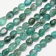 Natural Apatite Bead Strands, Tumbled Stone, Nuggets, 6~12x6~13mm, Hole: 1mm, about 15.74 inch(G-L459-13)