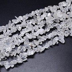 Natural Quartz Crystal Beads Strands, Chips, Dyed, 8~20x8~18mm, Hole: 1mm, about 31.5 inch(X-G-O049-C-61)