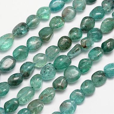 11mm Nuggets Apatite Beads