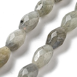 Natural Labradorite Beads Strands, Faceted Rice, 12.5x8mm, Hole: 1.2mm, about 16pcs/strand, 7.68''(19.5cm)(G-P520-C08-01)