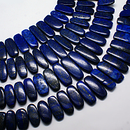 Natural Gemstone Pendants Lapis Lazuli Graduated Beads Strands, Dark Blue, 20~45x14~23x5~10mm, Hole: 1mm, about 15.7 inch(G-F129-B-02)