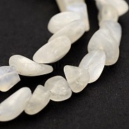 Natural Moonstone Bead Strands, Chips, 5~19x4~9x3~9mm, Hole: 0.5~1mm, about 15.7 inch(G-J280-01)