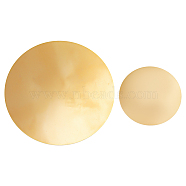 AHADEMAKER 2Pcs 2 Style Brass Sheet, Brass Discs, Flat Round, Raw(Unplated), 50x2mm & 100x2mm, 1pc/style(KK-GA0001-46)