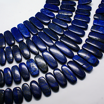 Natural Gemstone Pendants Lapis Lazuli Graduated Beads Strands, Dark Blue, 20~45x14~23x5~10mm, Hole: 1mm, about 15.7 inch
