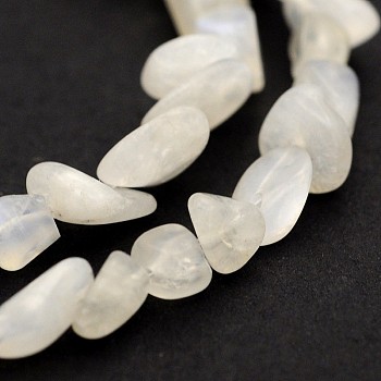 Natural White Moonstone Bead Strands, Nuggets, 5~19x4~9x3~9mm, Hole: 0.5~1mm, about 15.7 inch