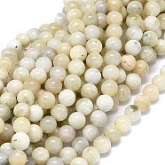 Natural Moonstone Beads Strands, Round, 8~8.5mm, Hole: 1mm, about 46~49pcs/strand, 15.55 inch(39.5cm)(G-O201A-17A)