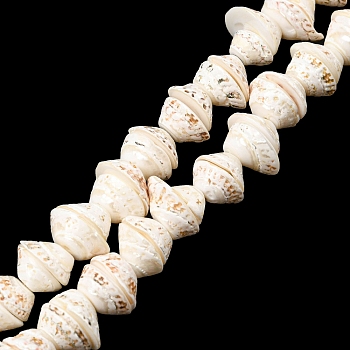 Natural Shell Bead Strands, Turritella, Seashell Color, 10~15x13x18mm, Hole: 1mm, about 52pcs/strand, 15.7 inch