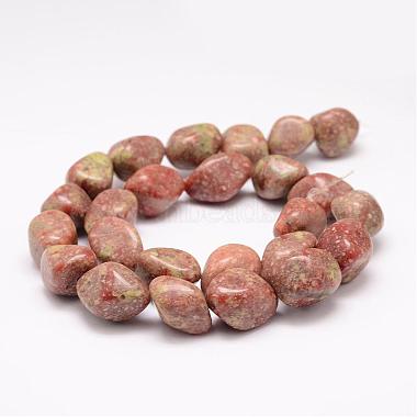 Natural Unakite Beads Strands(G-K153-D30)-2