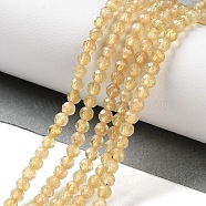 Natural Yellow Apatite Beads Strands, Faceted, Round, 3x3x3mm, Hole: 0.7mm, about 131pcs/strand, 15.43 inch(39.2cm)(G-N342-20B-01)