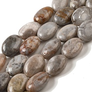Natural Crazy Lace Agate Beads Strands, Flat Oval, 14x10x6mm, Hole: 1mm, about 28pcs/strand, 15.35 inch(39cm)(G-G102-B01-01)