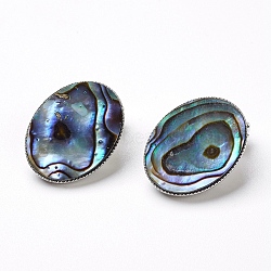 Natural Abalone Shell/Paua ShellOval Clip-on Earrings, with Brass Findings, Platinum, Colorful, 21x16x11mm(EJEW-P122-01)