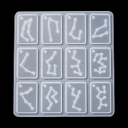 Twelve Constellations Rectangle Pendants Silicone Molds, Resin Casting Molds, for UV Resin, Epoxy Resin Jewelry Making, White, 105x99x3.5mm, Hole: 2mm, Inner Diameter: 19x29mm(DIY-YW0006-67)