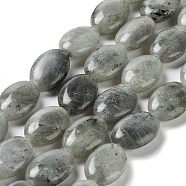 Natural Labradorite Beads Strands, Flat Oval, 17.5~18x12.5~13x6mm, Hole: 1.2mm, about 22pcs/strand, 15.55''(39.5cm)(G-L164-A-34)