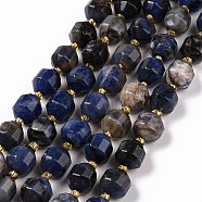 Natural Sodalite Beads Strands with Seed Beads, Faceted Bicone Barrel Drum, 9.5x8.5mm, Hole: 1.2mm, about 31pcs/strand, 14.17 inch(36cm)(G-G990-E01)