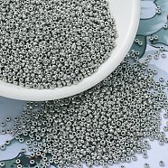 MIYUKI Round Rocailles Beads, Japanese Seed Beads, 11/0, (RR194) Palladium Plated, 2x1.3mm, Hole: 0.8mm, about 5500pcs/50g(SEED-X0054-RR0194)