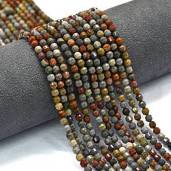 Natural Ocean Jasper Beads Strands, Energy Prism Cut Double Terminated Point Beads, Faceted Bicone, 4x4.5mm, Hole: 0.4mm, about 83pcs/strand, 14.96''(38cm)(G-A260-A05-01)