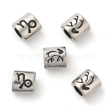 Capricorn 304 Stainless Steel European Beads