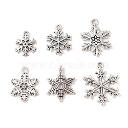 Mixed Vintage Tibetan Style Alloy Snowflake Pendants, Cadmium Free & Lead Free, Antique Silver, 17~24x13~19x1.5~2mm, Hole: 2mm, 6pcs/set(TIBEP-X0017-AS-RS)