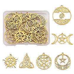 12Pcs 6 Style 304 Stainless Steel Pendants, Mixed Shape, Real 18K Gold Plated, 19~32x25~35x1~2mm, Hole: 1.2~1.5mm, 2pcs/style(STAS-SZ0002-56G)