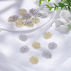 20Pcs 2 Colors Baking Paint Alloy Pendants, Tropical Leaf Charms, for DIY Accessories, Lead Free & Cadmium Free, Monstera Leaf, Platinum & Golden, 21x17x1mm, Hole: 1.6mm, 10pcs/color(FIND-LP0005-14)