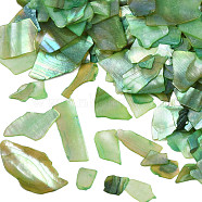 Natural Abalone/Paua Shell Mica Fragment, Nail Art Decorations, Shell Mica Slices, Dyed, Sea Green, 1~20x1~15x0.5mm(MRMJ-N026-001-A04)