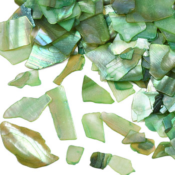 Natural Abalone/Paua Shell Mica Fragment, Nail Art Decorations, Shell Mica Slices, Dyed, Sea Green, 1~20x1~15x0.5mm