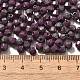 Baking Paint Glass Seed Beads(X1-SEED-A032-02A-17)-4