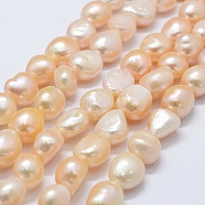 Natural Cultured Freshwater Pearl Beads Strands, Potato, PeachPuff, 11~12x11~12x8~9mm, Hole: 0.2mm, about 30pcs/strand, 14.1 inch(PEAR-K004-05A-01)