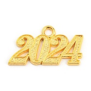 Alloy Numbers Pendants, 2024 Charm, Golden, 18x31.5x1.8mm, Hole: 3mm(PALLOY-D028-01G)