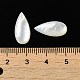 Cabochons de coquillage blanc naturel(SSHEL-M022-04)-3