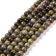 Natural Dendritic Jasper Beads Strands, Chohua Jasper, Round, Mixed Color, 6mm, Hole: 1mm, about 64pcs/strand, 15.1 inch(G-H1632-6MM)