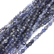 Natural Iolite Beads Strands, Faceted, Flat Round, 3.5x1.5~2mm, Hole: 0.6mm, about 116pcs/strand, 15.35~15.51 inch(39~39.4cm)(G-I249-A04)