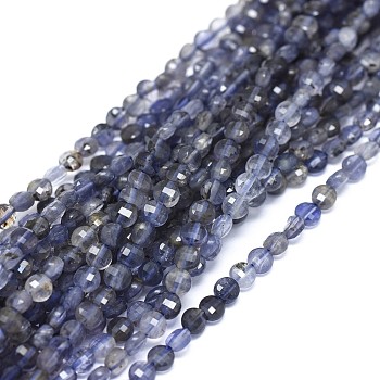 Natural Iolite Beads Strands, Faceted, Flat Round, 3.5x1.5~2mm, Hole: 0.6mm, about 116pcs/strand, 15.35~15.51 inch(39~39.4cm)