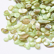 Shell Beads, No Hole Beads, Dyed, Chip, Green Yellow, 1~15x1~15x0.5~5mm, about 450g/bag(SHEL-R020-01)